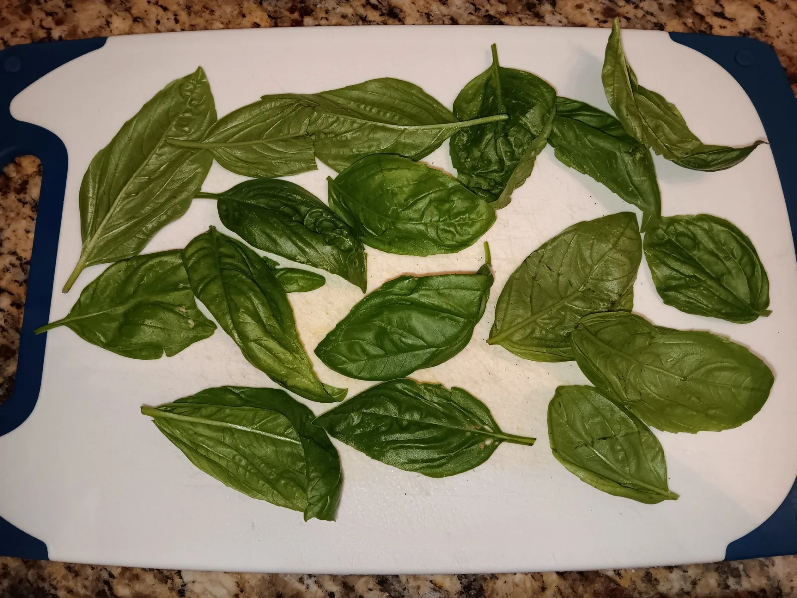 Fresh basil leaves spread on a cutting board